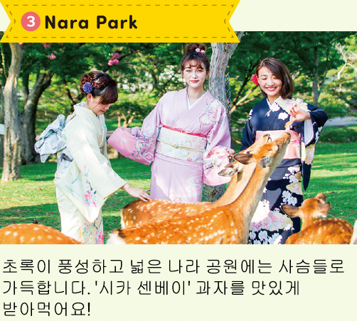3.Nara Park