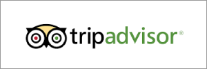 trip advisor