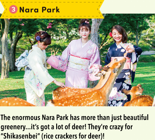 3.Nara Park