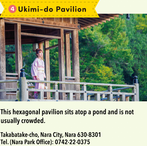 3. Ukimi-do Pavilion