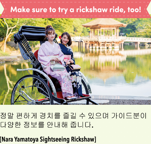 Make sure to try a rickshaw ride, too!