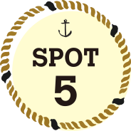 spot5