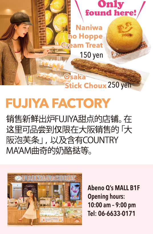 FUJIYA FACTORY