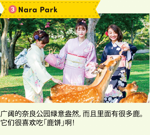 3.Nara Park