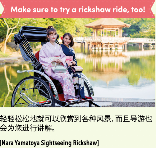 Make sure to try a rickshaw ride, too!